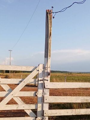 ANDE alega inexistencia de robo de energía en propiedad invadida de Misiones - Nacionales - ABC Color
