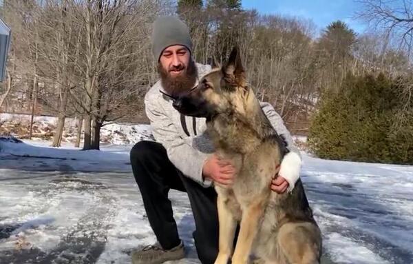 EE.UU.: perro llevó a policías hasta accidente que sufrió su dueño
