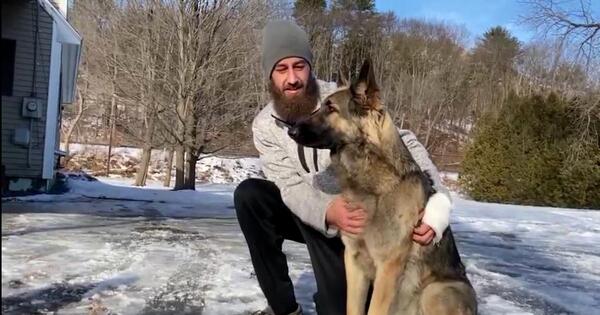 Héroe de cuatro patas: perro guió a policías hasta auto volcado de su dueño