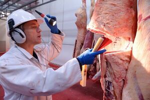 El 90% de las exportaciones de carne del año se concentraron en cinco mercados