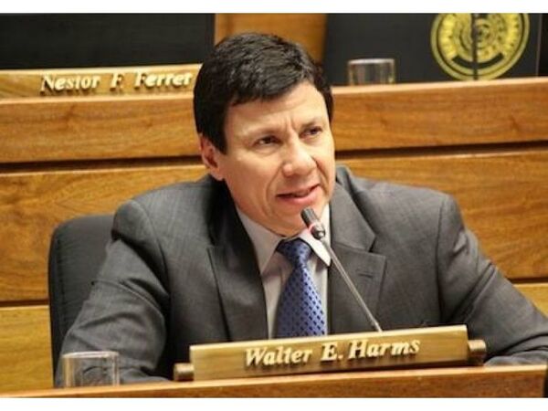 Walter Harms adelantó su voto negativo al proyecto de Hugo Ramírez