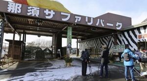 Un tigre arranca la mano de una cuidadora en un parque de Japón