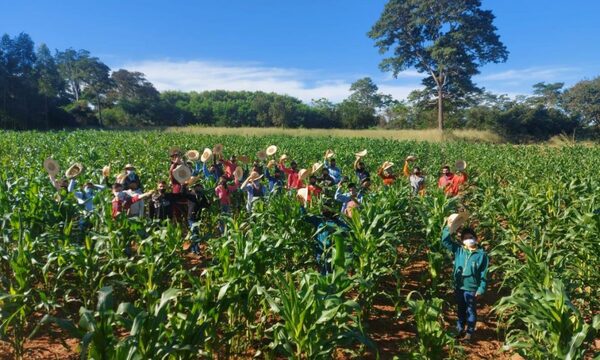 Itaipu apoyó al MAG en la modernización agrícola y desarrollo de agricultura familiar – Diario TNPRESS