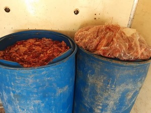 Incautan más de 800 kilos de carne en operativo anticontrabando | OnLivePy