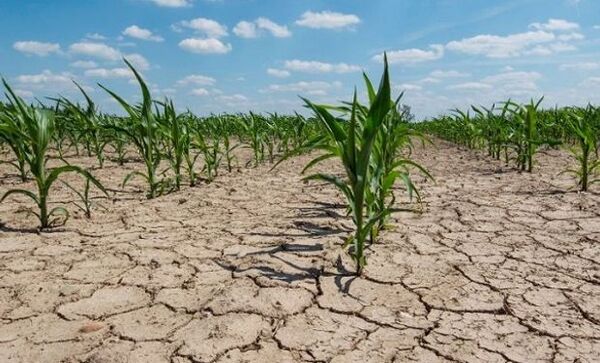 Lluvias suficientes regresarían luego del primer trimestre del 2022
