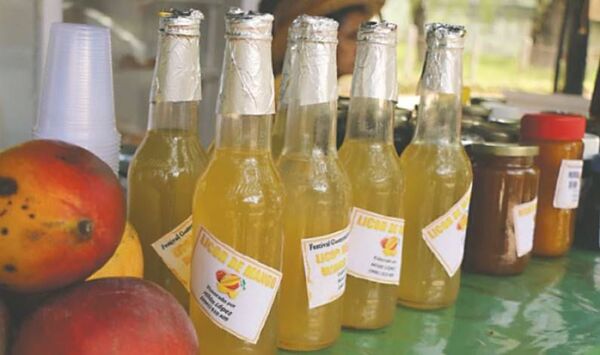 Festival del mango en Areguá arranca el sábado y podrá ser visitado durante todo enero - El Trueno