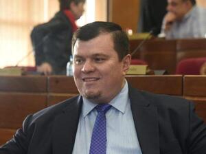 PLRA cree que un no liberal puede integrar dupla presidencial - El Trueno