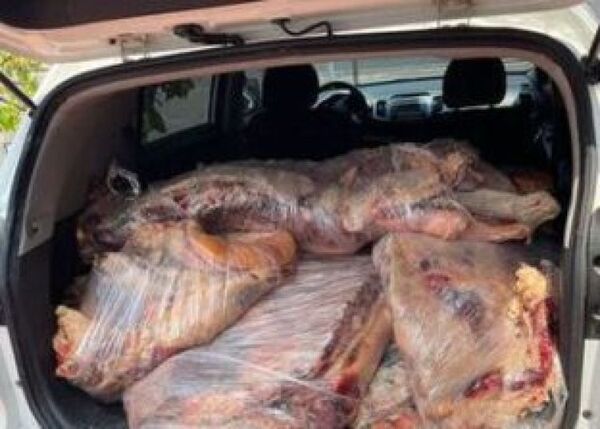 Carne cruda: contrabando aniquila a productores cárnicos de Paraguay