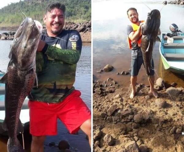 Crónica / ¡Surubí de 42 kilos! le trajo "lorreye" a dos pescadores