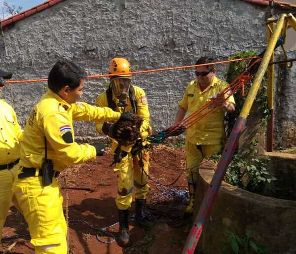 Bomberos de CDE abre convocatoria para voluntarios operativos y brigada juvenil - La Clave