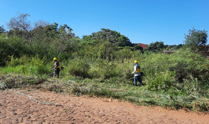 Municipalidad interviene terrenos baldios y propietarios deberán pagar multas - Noticiero Paraguay