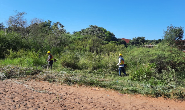 Municipalidad interviene terrenos baldios y propietarios deberán pagar multas - Noticiero Paraguay