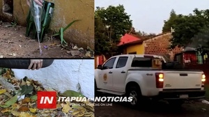 SENEPA ÍNDICE LARVARIO SIGUE ALTO EN ENCARNACIÓN - Itapúa Noticias