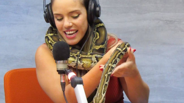 Crónica / Locutora apareció con tres serpientes en la radio