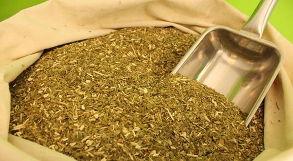 Promueven comercio de la yerba mate en países árabes - ADN Digital