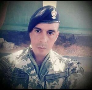 Expareja de militar cree que no murió por ataque de ciervo - Nacionales - ABC Color