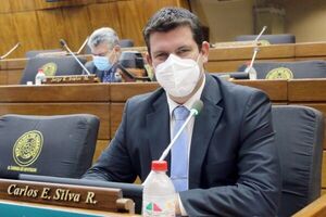 Efraín Alegre no tiene ninguna chance de ganar las internas, afirma diputado - El Trueno