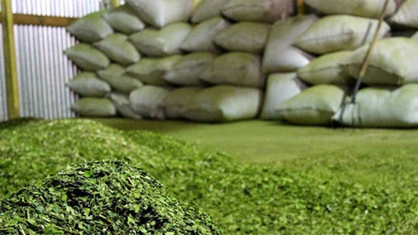 EMBAJADA PROMUEVE EL COMERCIO DE LA YERBA MATE CON LOS PAÍSES ÁRABES - Itapúa Noticias