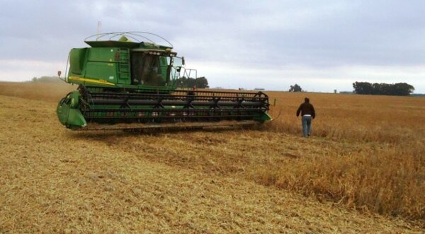 BCP aprueba medidas financieras para mitigar efecto de la sequía en el agro - .::Agencia IP::.