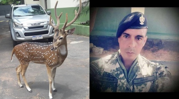 Hermana de militar contradice a la novia. ¿En qué difieren sobre muerte por ataque de ciervo?
