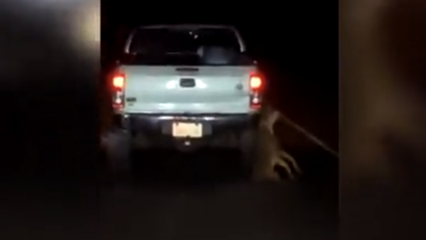 Indignación por conductor que arrastró a un perro con su camioneta