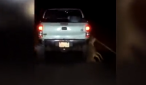 Indignación por conductor que arrastró a un perro atado a su camioneta