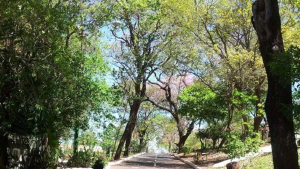 Avistan un karaja hũ en el parque Carlos Antonio López y piden su cuidado