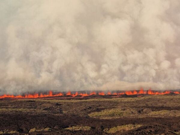 El volcán Wolf en Galápagos entró en erupción