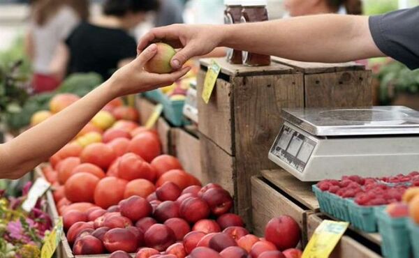 Precios mundiales de alimentos alcanzaron en 2021 el nivel más alto de los últimos diez años