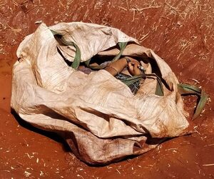 Encuentran dentro de una bolsa el cuerpo de un joven ejecutado, en Minga Porã – Diario TNPRESS