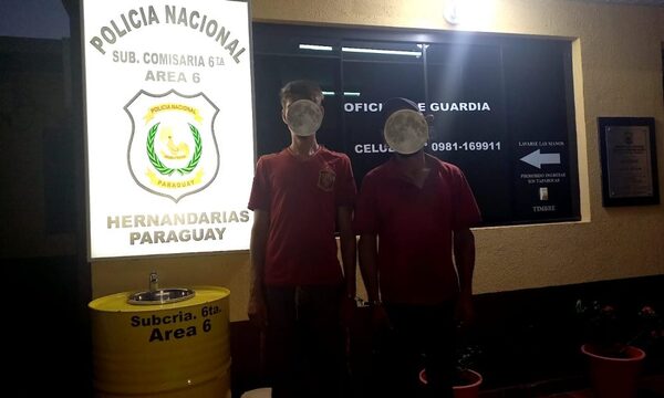 Capturan a dos bandidos que robaron compresores de aire y otros objetos de escuela en Hernandarias – Diario TNPRESS