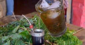 La Nación / La hidratación debe ser con agua y no con tereré
