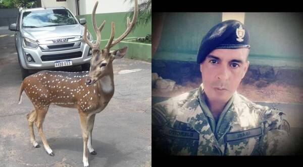 Crónica / "¡Se quiere colgar!": Hermana de militar "corneado" cañeó a la supuesta novia