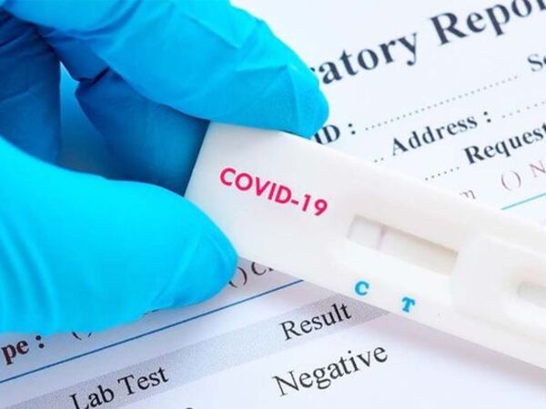 Agilizan resultados de PCR, ya puede ser escaneado - ADN Digital