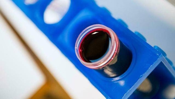 Diario HOY | Sangre falsa para luchar contra los mosquitos y la malaria