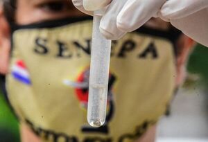 Más de 200.000 criaderos de mosquitos fueron desactivados en las últimas cuatro semanas - Nacionales - ABC Color