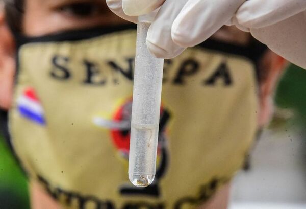 Más de 200.000 criaderos de mosquitos fueron desactivados en las últimas cuatro semanas - Nacionales - ABC Color