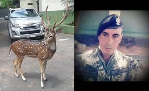 Diario HOY | Hermana del militar fallecido por ataque del ciervo rechaza versión de supuesta novia
