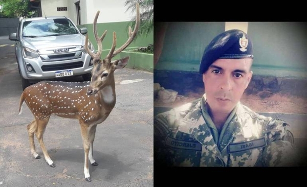 Diario HOY | Hermana del militar fallecido por ataque del ciervo rechaza versión de supuesta novia
