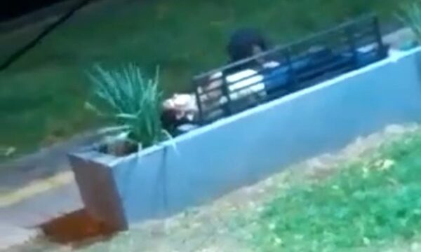 (VIDEO)”Ku otro” en plena avenida de Luque
