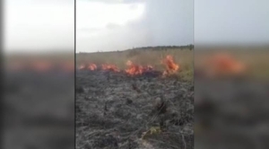 Diario HOY | Bomberos trabajaron arduamente para controlar incendios en Nueva Italia