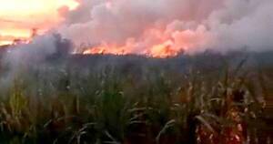 La Nación / Registran incendio forestal de grandes proporciones