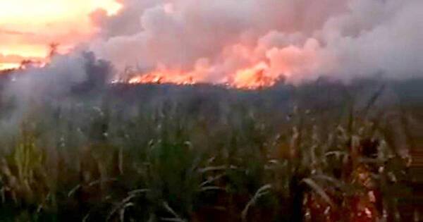 La Nación / Registran incendio forestal de grandes proporciones