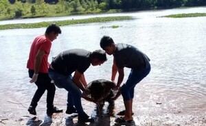 Hallan a hombre ahogado en el lago Acaray