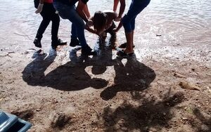 Flota el cuerpo de un joven que desapareció en el lago Acaray – Diario TNPRESS