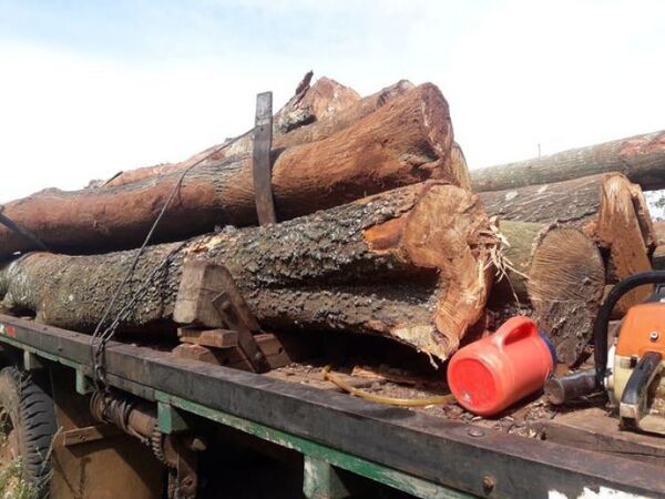 Hombre muere tras caerle un rollo de madera