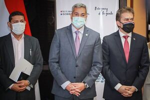 Producción de celulosa y biocombustible implica inversión de casi US$ 4.000 millones - Nacionales - ABC Color