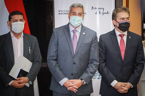 Producción de celulosa y biocombustible implica inversión de casi US$ 4.000 millones - Nacionales - ABC Color