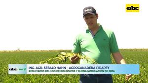 ABC RURAL: Resultados del uso de biológicos y buena nodulación de soja - ABC Rural - ABC Color