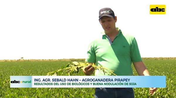ABC RURAL: Resultados del uso de biológicos y buena nodulación de soja - ABC Rural - ABC Color